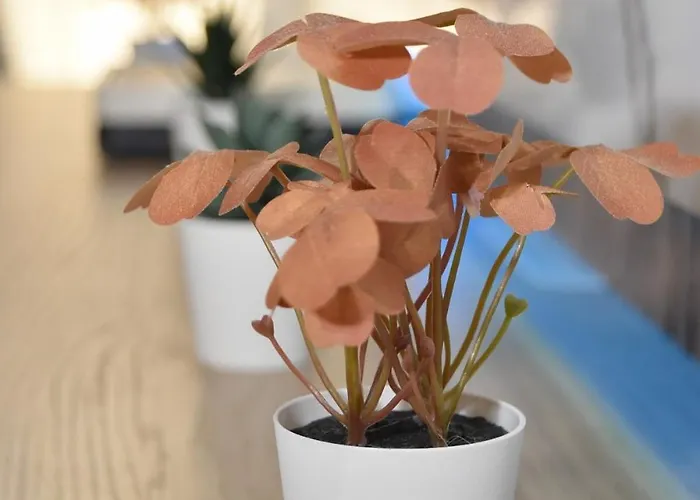 Bryson Gigantes Apartmán *