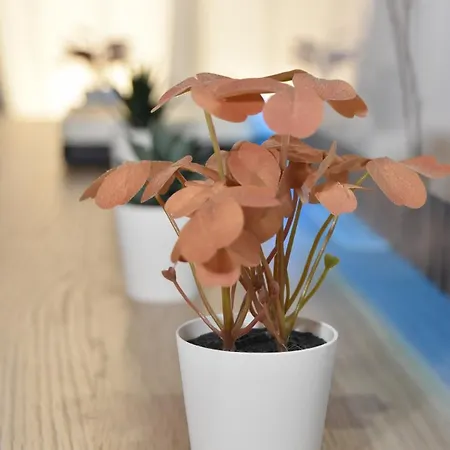 Bryson Gigantes Apartman *